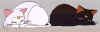 cats02.jpg (6410 bytes)